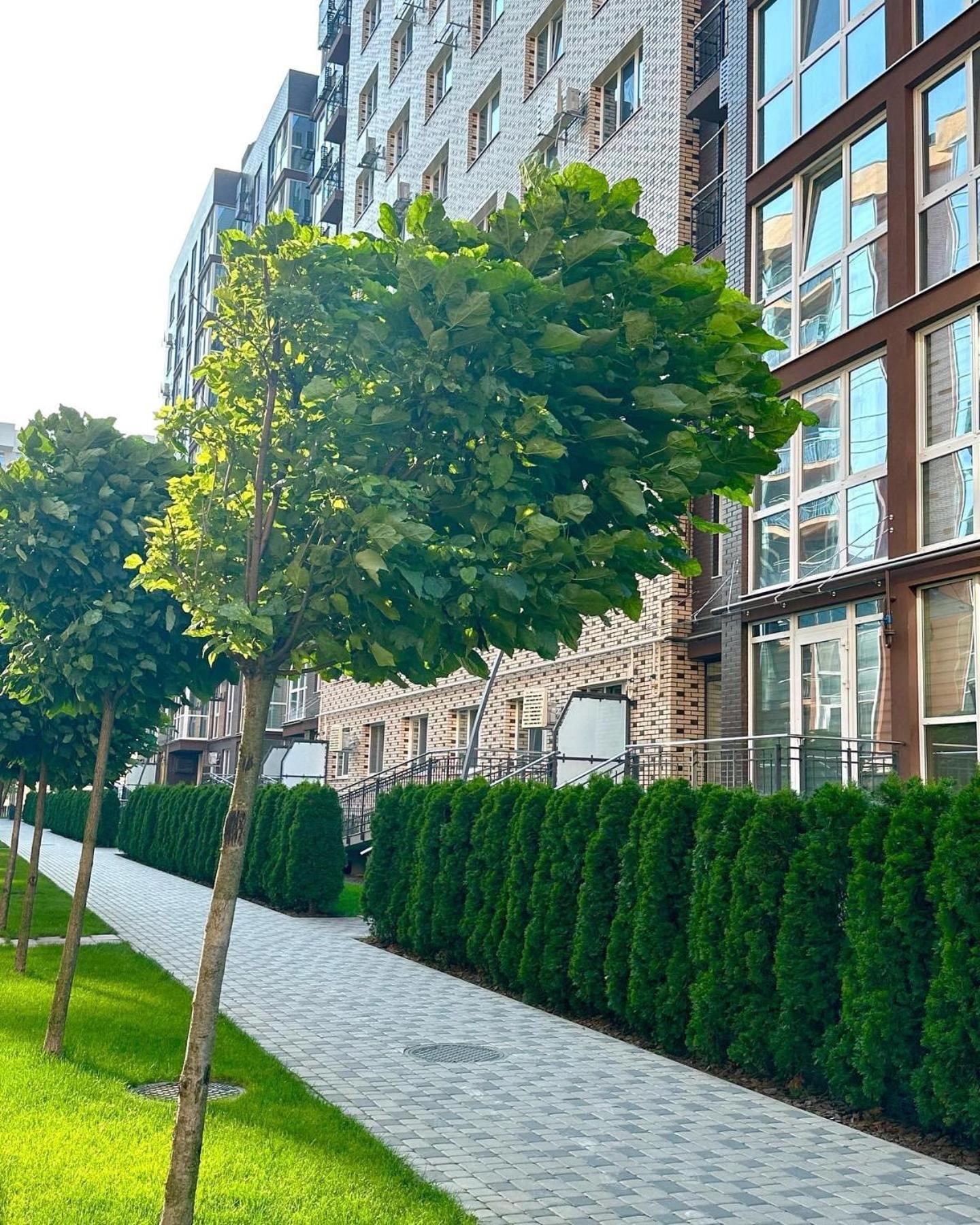 Vodogray Luxury Apartments With Underground Parking Елітний Житловий Комплекс Czernowitz Exterior foto